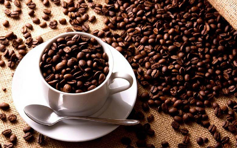 Cách phân biệt cà phê Arabica và Robusta - loại nào ngon hơn?